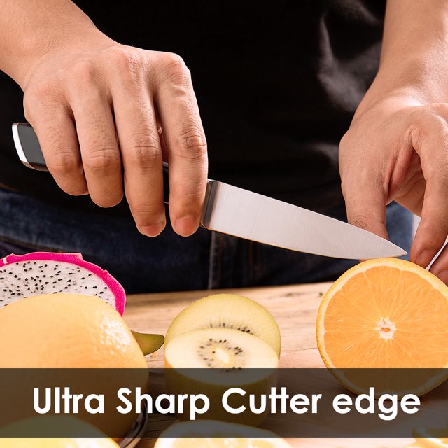 SKY LIGHT Paring Knife 4-inch, German High Carbon Stainless Steel Fruit Knife, Peeling Knife with Non Slip Ergonomic Handle, Small Knife for Kitchen